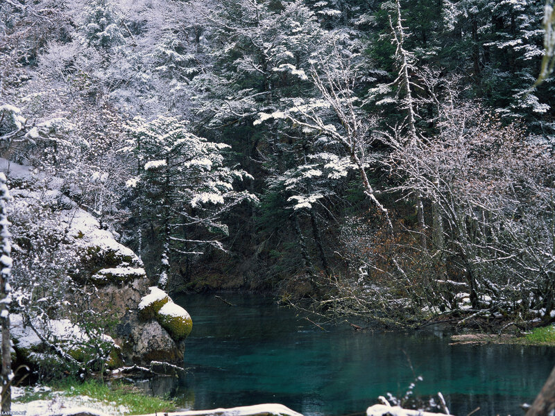 Snow-covered River in Forest — Green