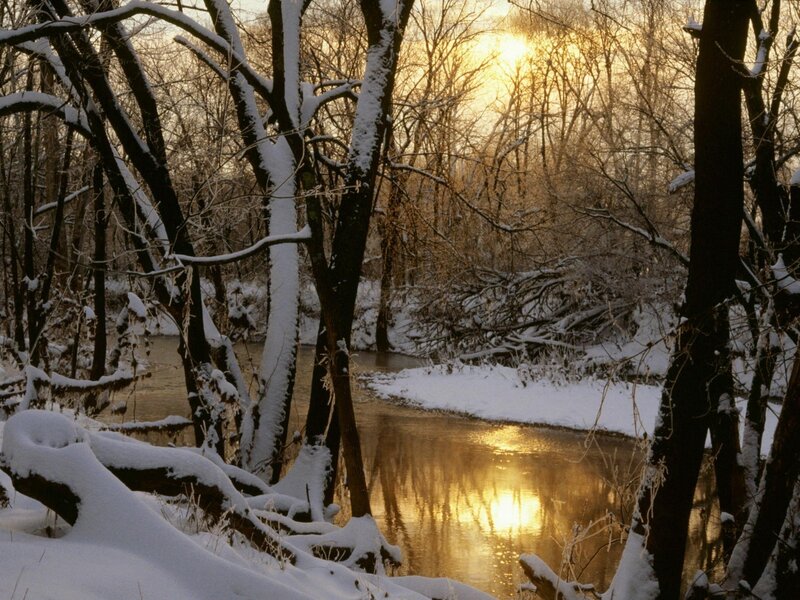 Snow-covered River in Forest
