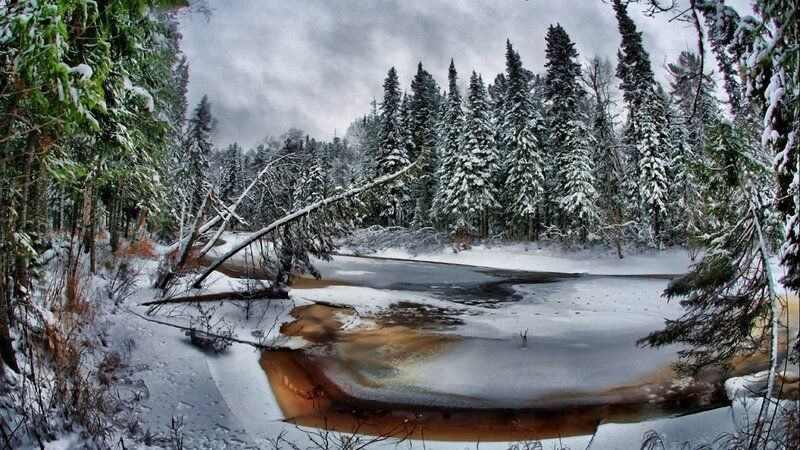 Snow-covered River in Forest — White, Cold, Winter, Photograph