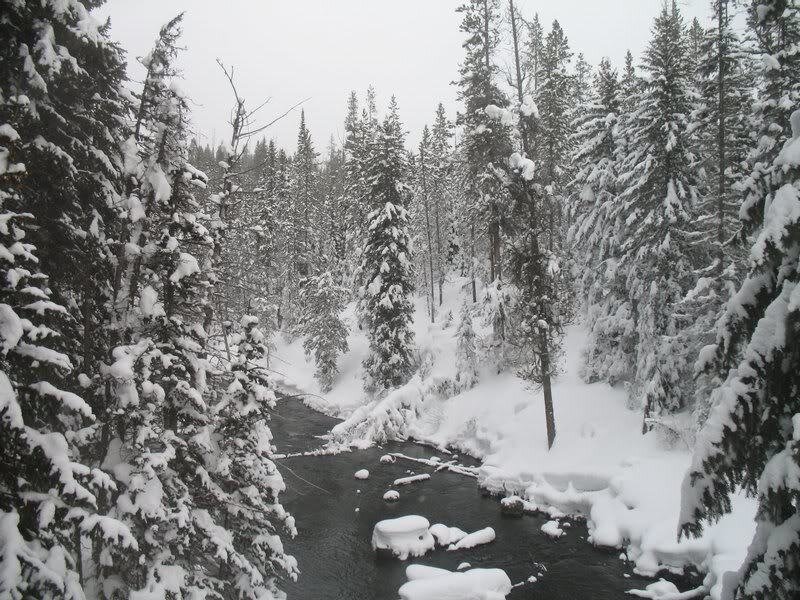 Snow-covered River in Forest — White, Cold, Winter