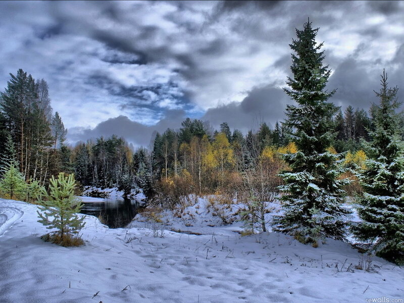 Snow-covered River in Forest — White, Dramatic