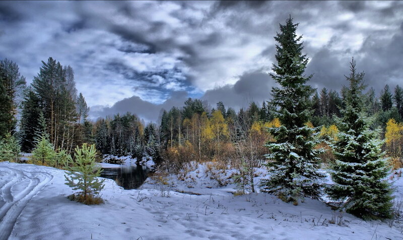 Snow-covered River in Forest — White, Dramatic, Winter, Photograph