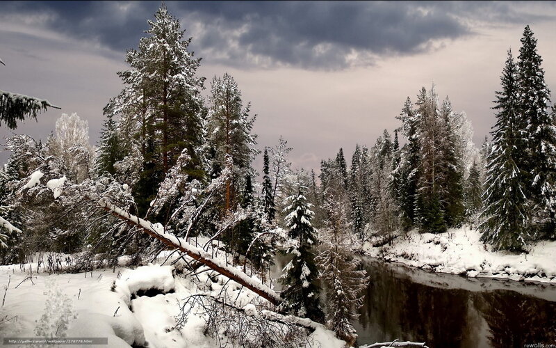 Snow-covered River in Forest — White, Dramatic, Winter, Photograph, Trees, Sky