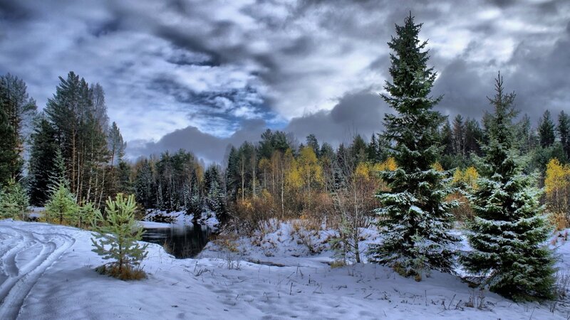 Snow-covered River in Forest — White, Dramatic, Winter, Photograph, Trees, Snow