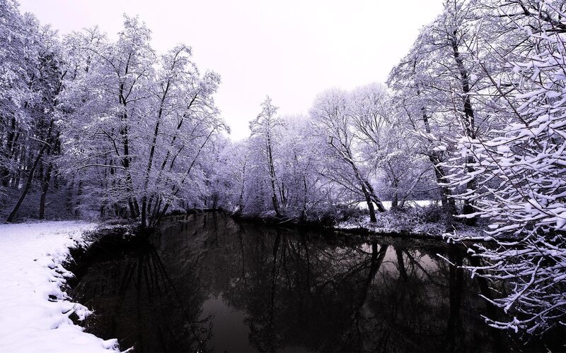 Snow-covered River in Forest — White, Serene