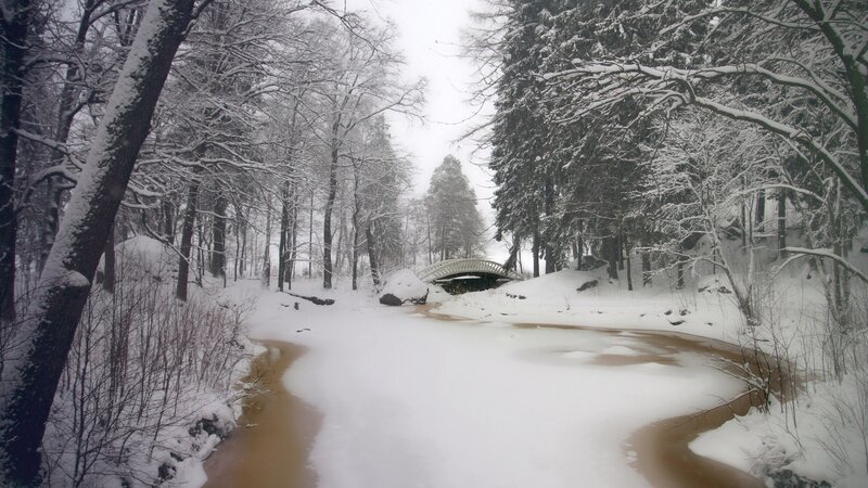 Snow-covered River in Forest — White, Serene, Winter, Photograph, Bridge