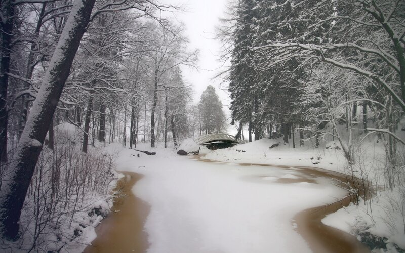 Snow-covered River in Forest — White, Serene, Winter, Photograph, Trees, Bridge, Snow, Brown, Gray