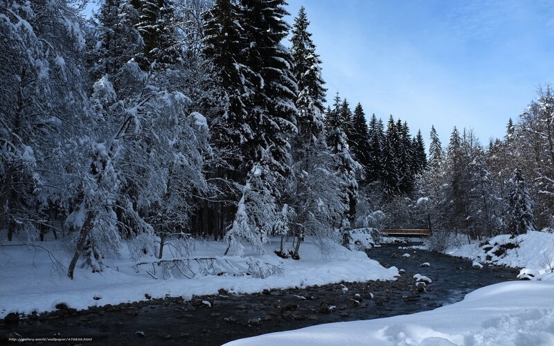 Snow-covered River in Forest — White, Serene, Winter, Photograph, Trees, Bridge, Snow