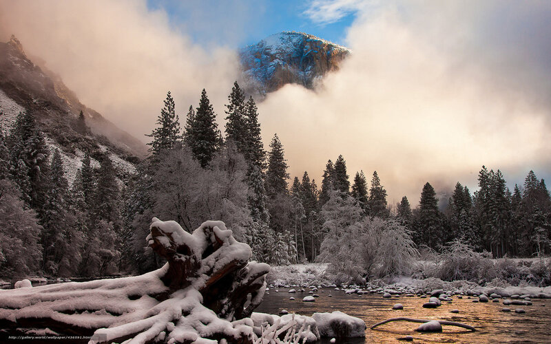 Snow-covered River in Forest — White, Serene, Winter, Photograph, Trees, Mountain, Clouds