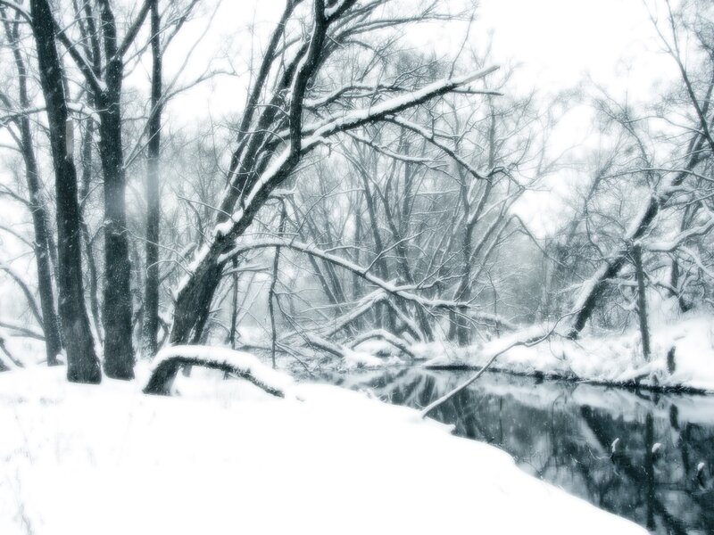Snow-covered River in Forest — White, Serene, Winter, Photograph, Trees, Snow, Black, Gray