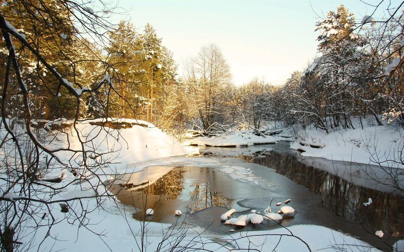Snow-covered River in Forest — White, Serene, Winter, Photograph, Trees, Snow, Ice