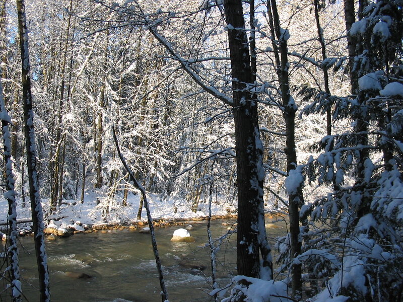 Snow-covered River in Forest — White, Serene, Winter, Photograph, Trees, Snow, Rocks