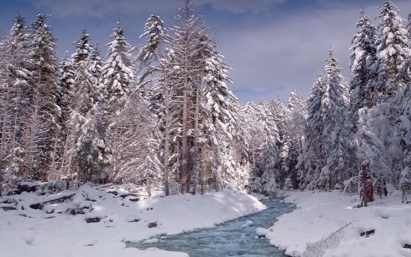 Snow-covered River in Forest — White, Serene, Winter, Photograph, Trees, Snow, Sky, Blue