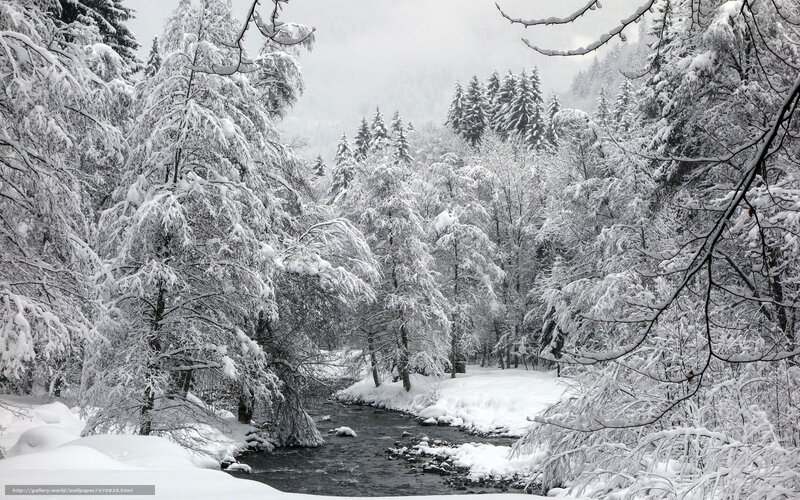 Snow-covered River in Forest — White, Serene, Winter, Photograph, Trees, Snow, Sky