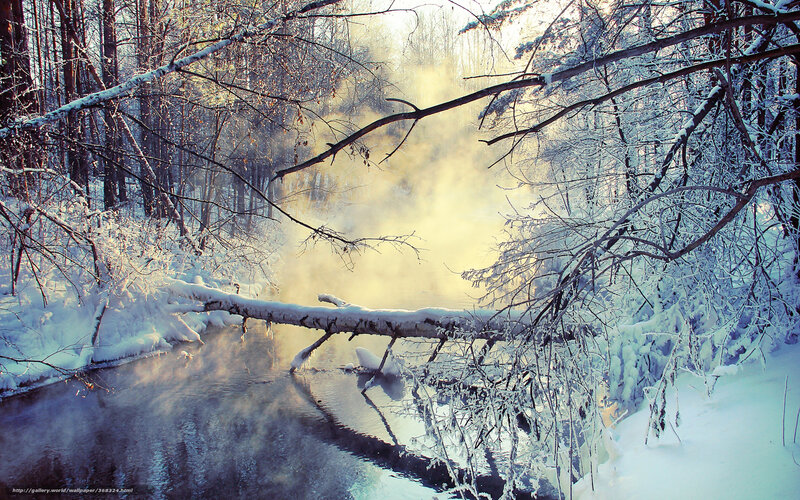 Snow-covered River in Forest — White, Serene, Winter, Photograph, Trees, Snow, Steam