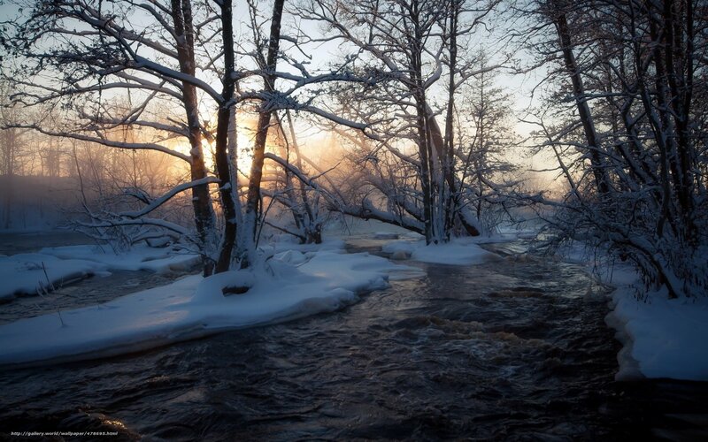 Snow-covered River in Forest — White, Serene, Winter, Photograph, Trees, Snow, Sunrise