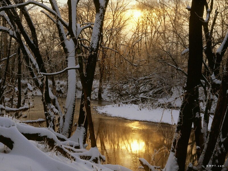 Snow-covered River in Forest — White, Serene, Winter, Photograph, Trees, Sunlight