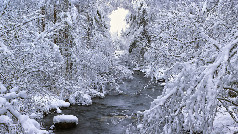 Snow-covered River in Forest — White, Serene, Winter, Photograph, Trees