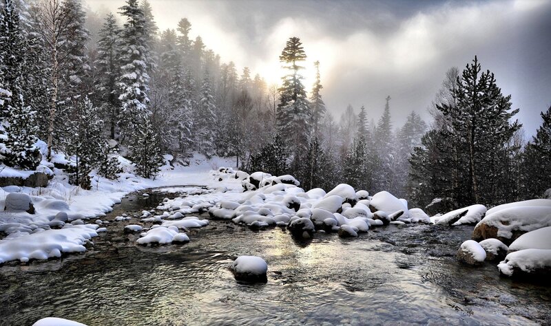 Snow-covered River in Forest — White