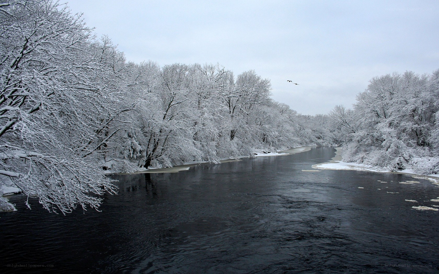 Snow-covered river in winter