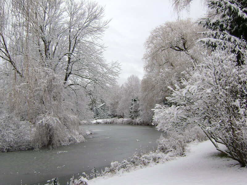 Snow-covered river in winter