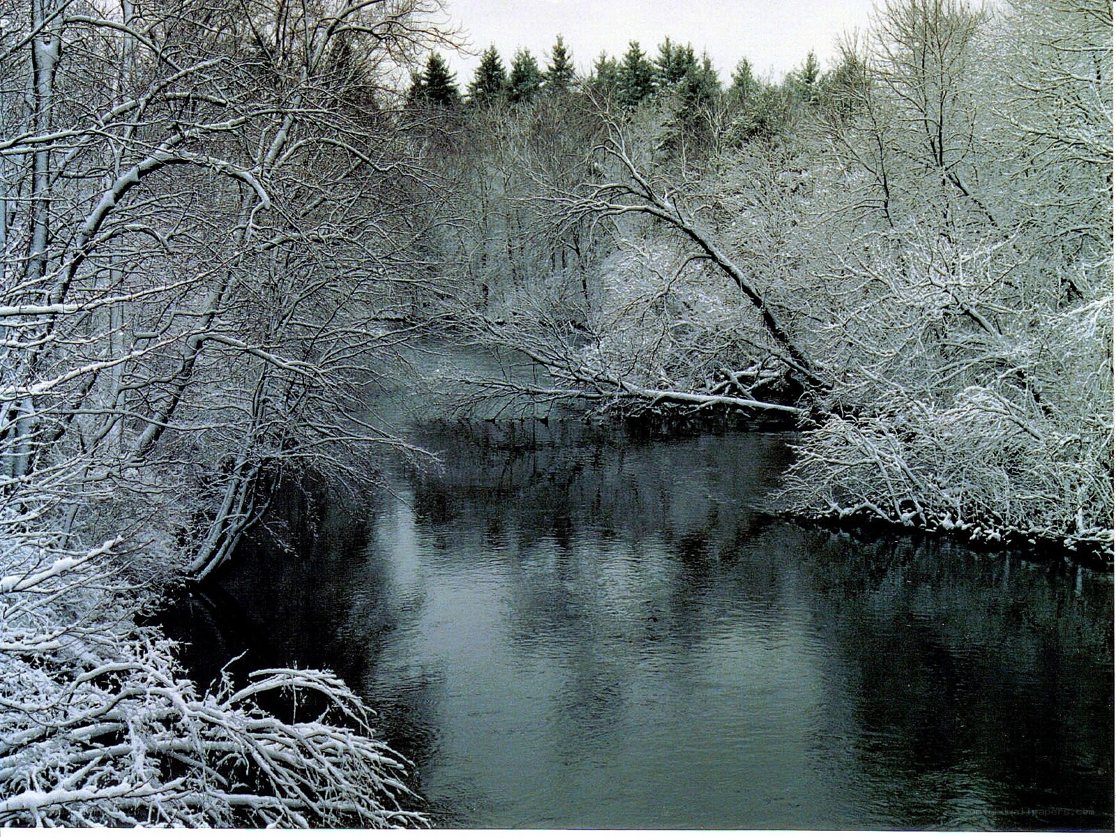 Snow-covered river in winter