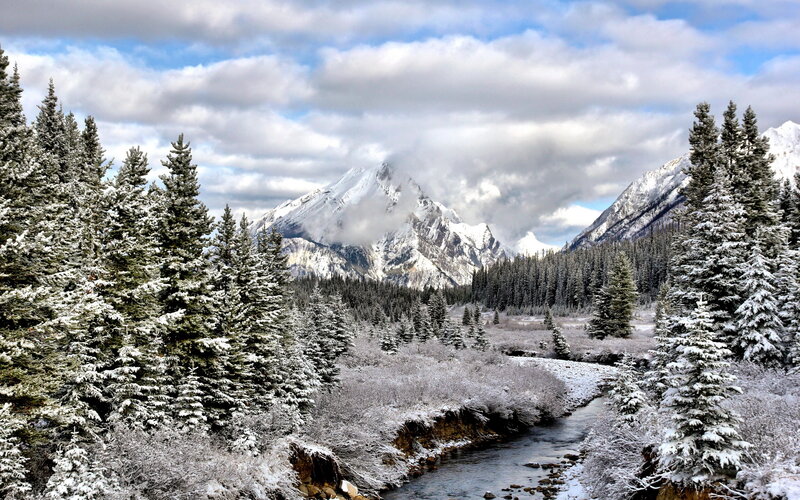 Snow-covered River Valley — White, Serene, Winter, Photograph, Pine Trees