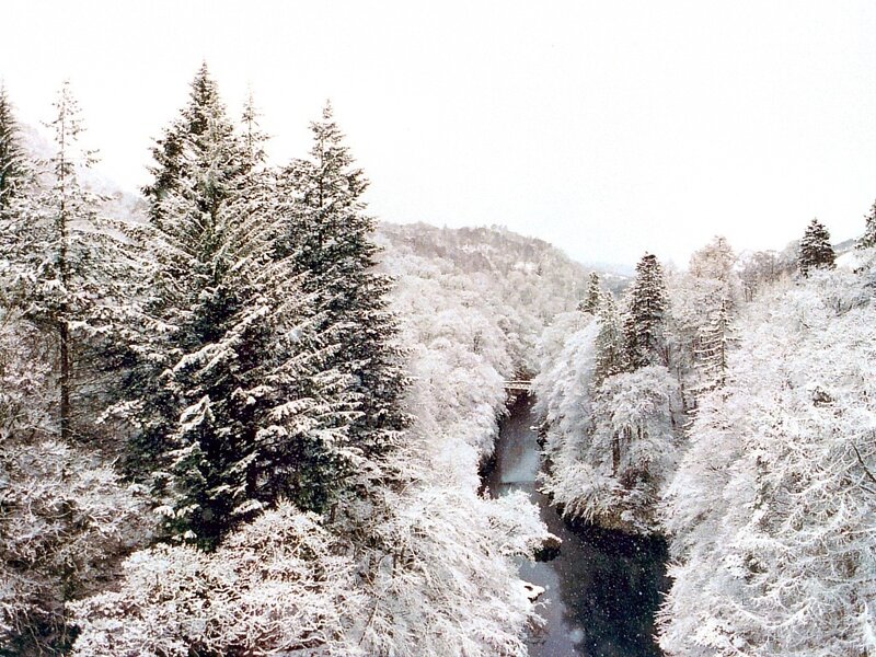 Snow-covered River Valley — White, Serene, Winter, Photograph, Trees, Forest, Mountain