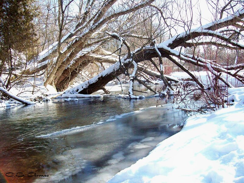 Snow-covered River — White, Serene, Winter, Photograph, Fallen Tree