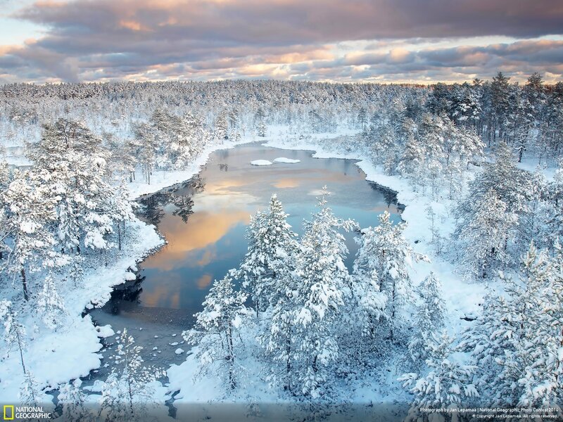 Snow-covered River — White, Serene, Winter, Photograph, Forest