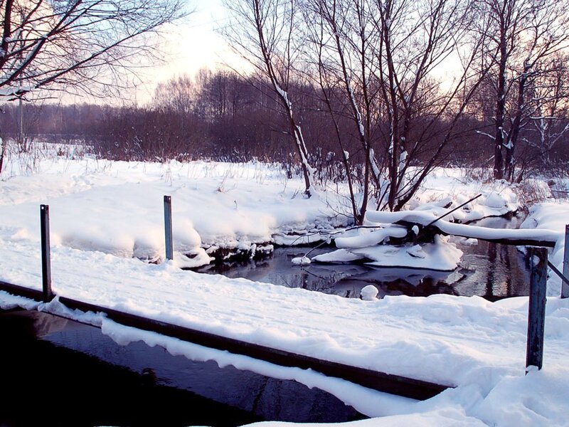 Snow-covered River — White, Serene, Winter, Photograph, Trees, Dock