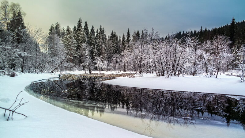 Snow-covered River — White, Serene, Winter, Photograph, Trees, Forest
