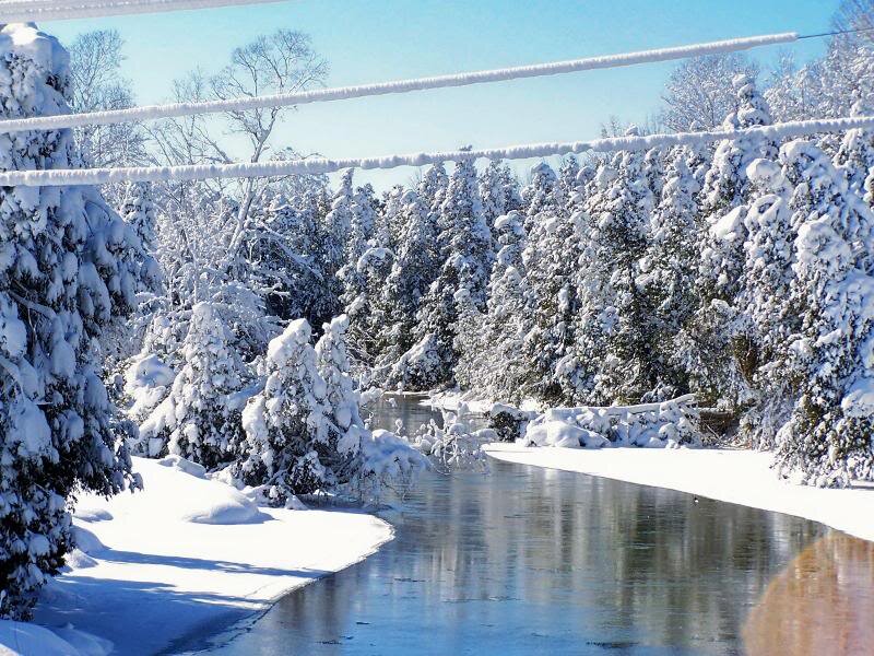 Snow-covered River — White, Serene, Winter, Photograph, Trees, Power Lines