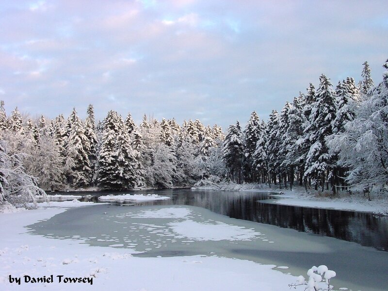 Snow-covered River — White, Serene, Winter, Photograph, Trees, Sky, Snow, Blue