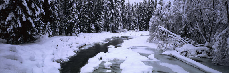 Snow-covered River — White, Serene, Winter, Photograph, Trees, Snow, Fallen Tree