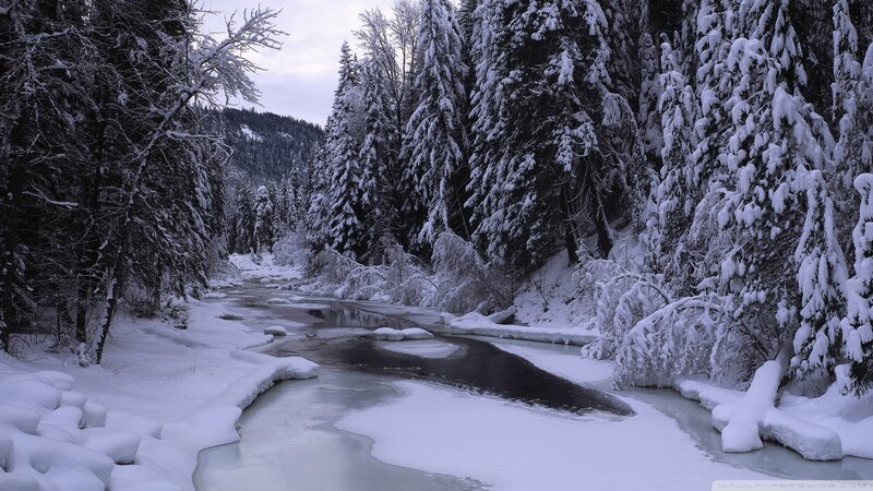 Snow-covered River — White, Serene, Winter, Photograph, Trees, Snow, Forest