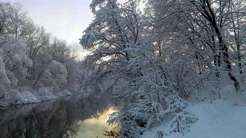 Snow-covered River — White, Serene, Winter, Photograph, Trees, Snow, Gray, Blue