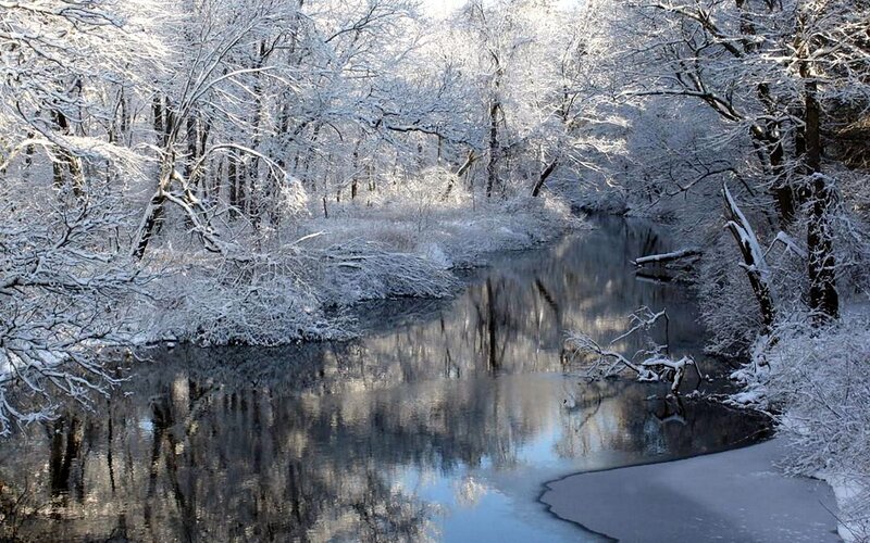 Snow-covered River — White, Serene, Winter, Photograph, Trees, Snow, Reflection