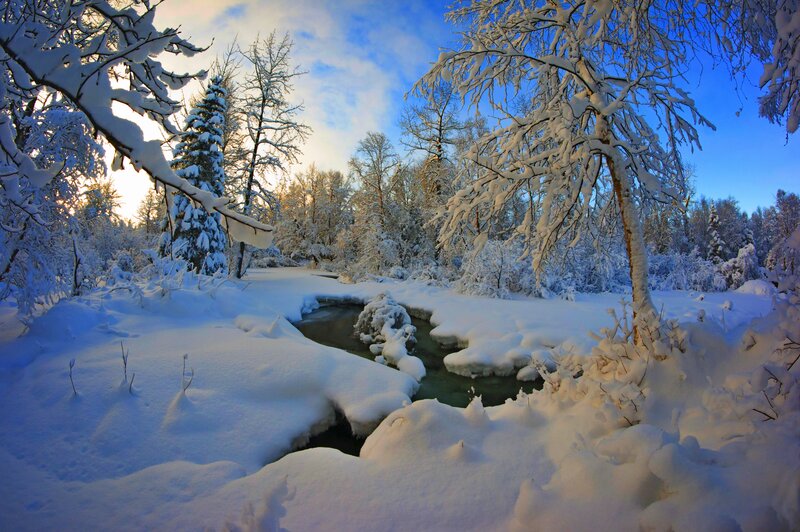 Snow-covered River — White, Serene, Winter, Photograph, Trees, Snow, Sky, Stream