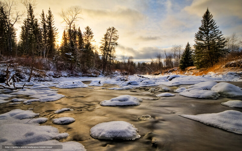 Snow-covered River — White, Serene, Winter, Photograph, Trees