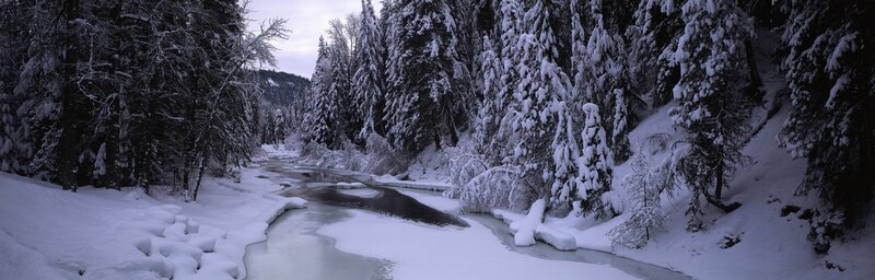 Snow-covered River — White, Trees