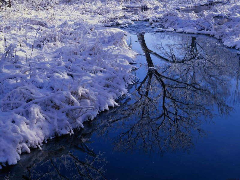 Snow-covered Riverbank — Blue, Serene, Winter, Photograph, River, Tree Reflection, Snow