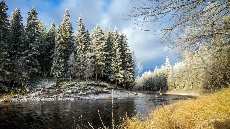 Snow-covered Riverbank — Blue, Serene, Winter, Photograph, River, Trees, Sky, Grass
