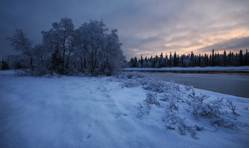 Snow-covered Riverbank — Blue, Serene, Winter, Photograph