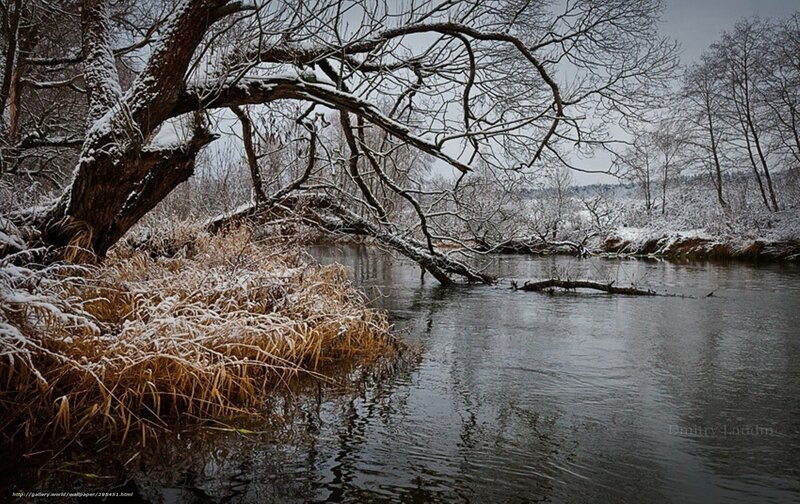 Snow-covered Riverbank — Gray