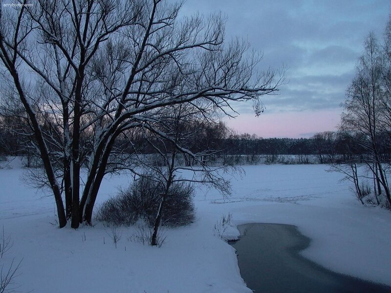 Snow-covered Riverbank