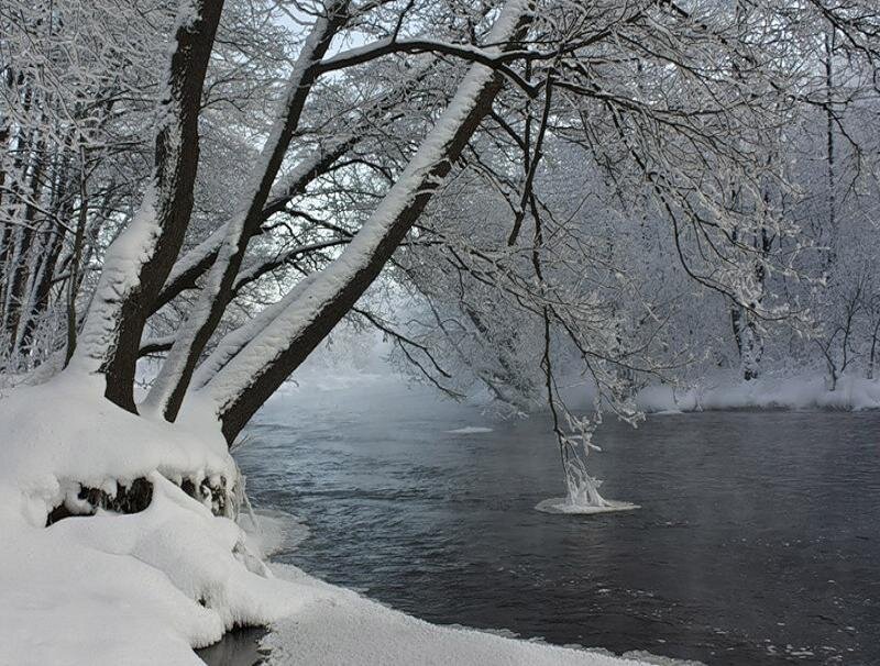 Snow-covered Riverbank — White, Serene