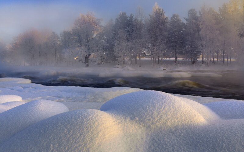 Snow-covered Riverbank — White, Serene, Winter, Photograph, River, Trees, Frost