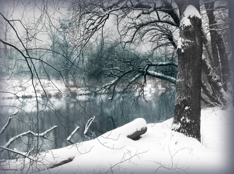 Snow-covered Riverbank — White, Serene, Winter, Photograph, River, Trees, Snow, Branches