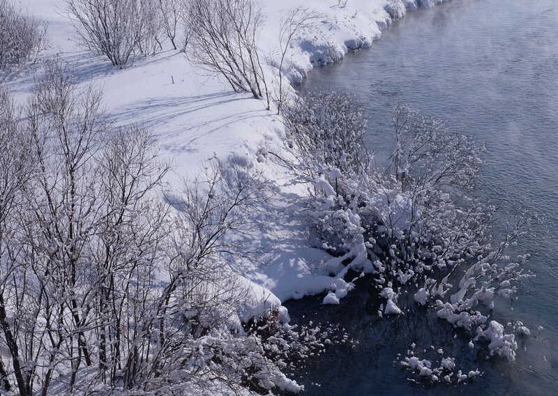 Snow-covered Riverbank — White, Serene, Winter, Photograph, River, Trees, Snow